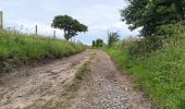 Excursión Senderismo Aywaille - Le tour de septroux - Photo 10