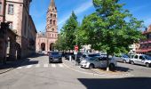 Tocht Wegfiets Pfaffenheim - RAL  Cyclo Montagnarde Vosges 2022 - Photo 2