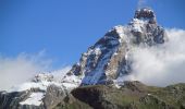 Trail On foot Ayas - Alta Via n. 1 della Valle d'Aosta - Tappa 8 - Photo 8