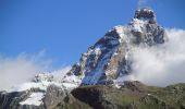 Randonnée A pied Valtournenche - (SI F17) Valtournenche - Rifugio Grand Tournalin - Photo 8