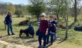 Trail Walking Seine-Port - Seine port 2 - Photo 2