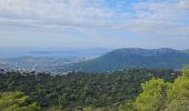 Tour Wandern La Farlède - De La farlède vers le sommet du Mont Coudon, puis retour par le petit Coudon - Photo 8