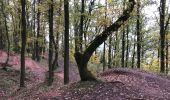 Tour Wandern Flémalle - Chokier Flemalle 18,5 km - Photo 5