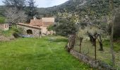 Excursión Senderismo Céret - mon balcon de Céret - Photo 13