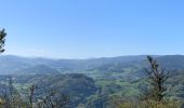 Tour Wandern Urbach bei Kaysersberg - Aubure - Photo 1