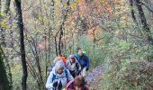 Trail Walking Jarrie - Hte jarrie - Photo 5
