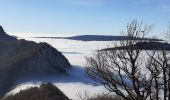 Trail Walking Apremont - pointe de la gorgeat par col granier - Photo 19