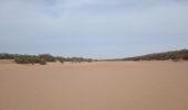 Tour Wandern M'Hamid El Ghizlane ⵎⵃⴰⵎⵉⴷ ⵍⵖⵯⵣⵍⴰⵏ امحاميد الغزلان - Campement 3 au Campement 4 - Photo 5