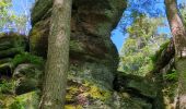 Trail Walking Ottrott - Le circuit des 5 châteaux - Photo 2