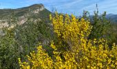 Trail Walking Trescléoux - Trescloux le Suillet - Photo 10