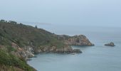 Trail Walking Plouha - Port Gwin zegal+ falaise de plouha - Photo 2