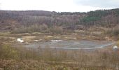 Tour Zu Fuß Messel - Rundwanderweg Messel 2: Ölschiefer-Weg - Photo 7