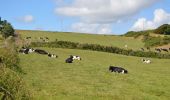 Trail On foot West Cork - Walk 1 - Drombeg Standing Stone Circle (7 - 9 km) - Photo 4