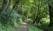 Trail Walking Braine-le-Comte - GRP127 : De Hennuyères à Nivelles - Photo 18
