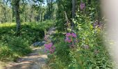 Tocht Stappen Fleurus - forêt des loisirs Fleurus - Photo 1