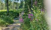 Trail Walking Fleurus - forêt des loisirs Fleurus - Photo 1