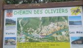 Trail Walking Les Mées - LES MEES . CHEMIN DES OLIVIERS O L  - Photo 1