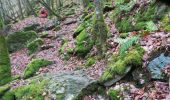 Excursión Senderismo La Roche-en-Ardenne - Maboge  - Photo 10