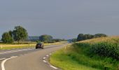 Randonnée A pied Wierden - WNW Twente - Enter - paarse route - Photo 10