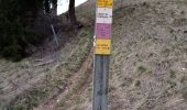 Trail Walking Lans-en-Vercors - La ronde de Lans - Photo 8