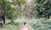 Randonnée Marche Autrans-Méaudre en Vercors - Le Gros Martel par le trou de L'enfer - Photo 4