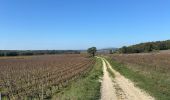 Trail  La Bastide-d'Engras - La Bastide D’Englas Pougnadoresse - Photo 5