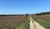 Percorso  La Bastide-d'Engras - La Bastide D’Englas Pougnadoresse - Photo 5