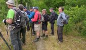 Tour Wandern Thouars - rando de la cascade de pommiers  - Photo 9