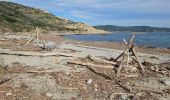 Percorso Marcia La Croix-Valmer - Boucle en partant de la plage de Gigaro - Photo 9