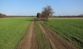 Tour Zu Fuß Breckland - Weeting Village Walk - Photo 2