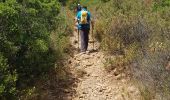 Percorso Marcia La Ciotat - 2019 06 24 Grotte Terrevaine Baou Rous - Photo 1