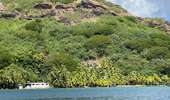 Excursión Barco a motor Huahine - Le tour de Huahine  - Photo 8