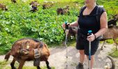 Tocht Stappen La Chapelle-d'Abondance - CORNETTES DE BISE: LAC DE DARBON - Photo 15