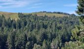 Tour Wandern Stoßweier - Le col de la Schlucht lac de la Lande - Photo 1