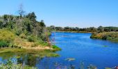 Tour Wandern Weset - La Montagne Saint-Pierre et ses alentours  - Photo 4