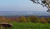 Tocht Te voet Herrenberg - Roter Punkt, Herrenberg - Naturfreundehaus - Photo 8