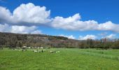 Tocht Stappen Rochefort - rando belvaux 28-04-2023 - Photo 19