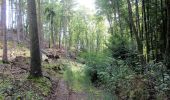 Tour Zu Fuß Sangerhausen - Roter Balken - Photo 4