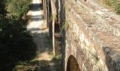 Trail On foot Capannori - 