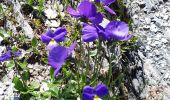 Tour Wandern Beaufort - Combe de la Neuva depuis le Cormet de Roselend - Photo 1