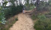 Tocht Stappen Maaseik - Gruitroderbos -  dunes - Photo 6