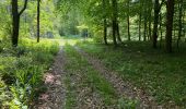 Tocht Stappen Ormoy-le-Davien - 030422 - Direction Vaucienne puis Vaumoise et Cave du diable - Photo 19