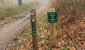 Randonnée Marche Auderghem - Vallon des trois fontaines - Photo 5