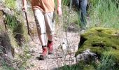 Trail Walking Prévenchères - GORGES DU CHASSEZAC DEPUIS LA GARDE- GUERIN - Photo 18