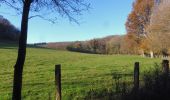 Trail Walking Boos - 20211123-Boos - Photo 17