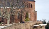 Tour Wandern Ottrott - 2022-12-18 Picnic CVA Mt Ste Odile a pied - Photo 4