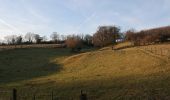 Tocht Te voet Euskirchen - EifelSchleife Kloster Schweinheim - Photo 9