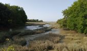 Excursión Senderismo Saint-Armel - Le HÉZO - Photo 8