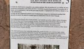 Trail Walking Wissembourg - Gr5J1 - Photo 3