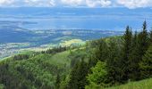 Trail Walking Lullin - Mont Forchat - Photo 1